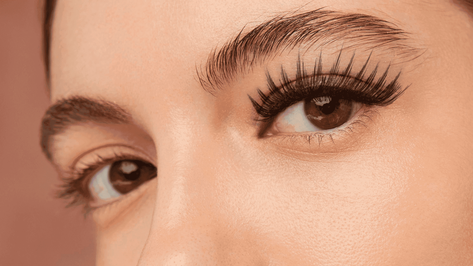 Close-up of woman's eyes with bold eyelashes and well-defined eyebrows.